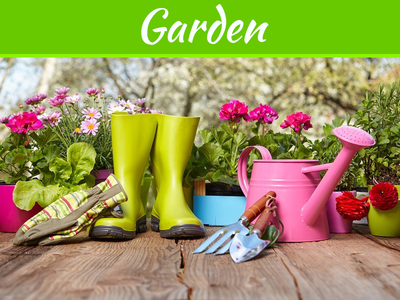 Featured image for “Gardening Terms”